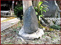 �@�R�H���ā@�Ȃɂ��䂩��俑��@�@�@�͂���