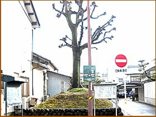 細畑一里塚　左塚