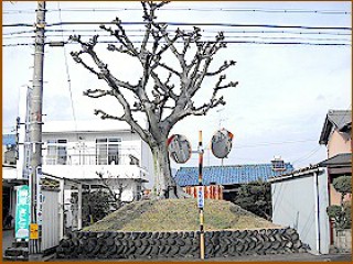 細畑一里塚　右塚