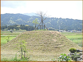 柏原一里塚　左塚復元