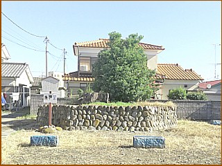 新島一里塚　右塚現存