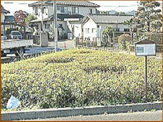 倉賀野一里塚跡