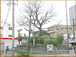 志村一里塚　左塚現存