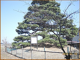 平出一里塚　右塚