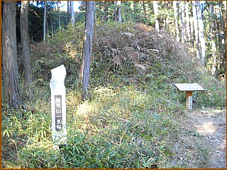 権現山一里塚　右塚