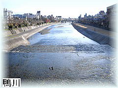 ���삩������