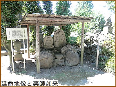 �����n���Ɩ�t�@��