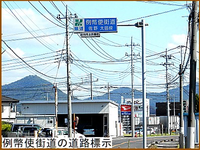 �ᕼ�g�X���̓��H�W��