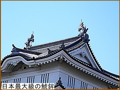 日本最大級の鯱鉾