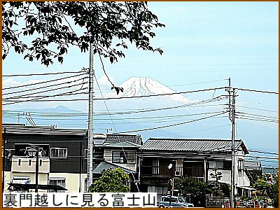 裏門越しに見る富士山