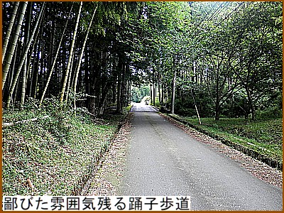 鄙びた雰囲気のkる踊子歩道