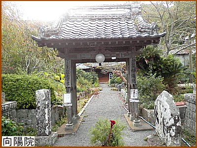向陽院