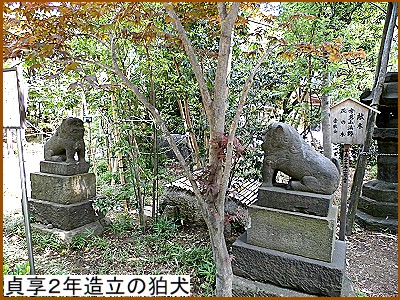 貞享２年の狛犬