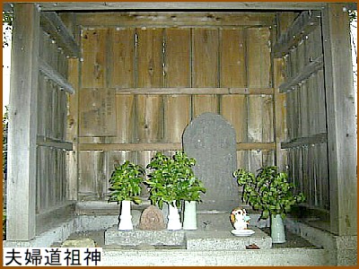 �v�w���c�_