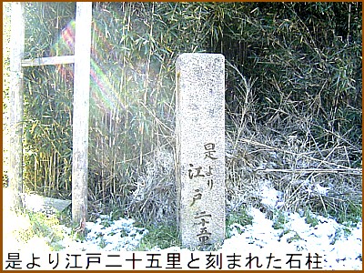 是より江戸二十五里と刻まれた石柱