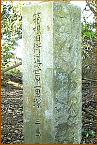 �����ꗢ�˔�