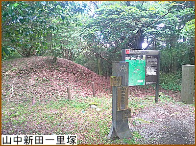 �R���V�c�ꗢ��