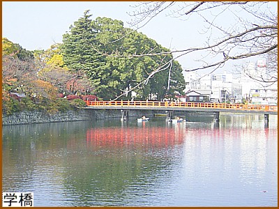 学橋
