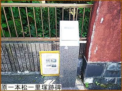 ����{���ꗢ�ːՔ�