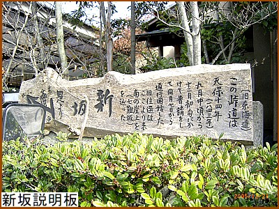 �V�������