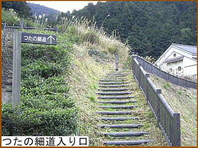 ���̍ד������