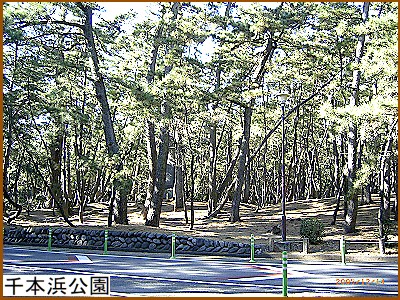 千本浜公園