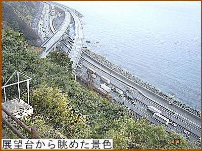 展望台から眺めた景色