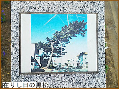 �݂肵���̍���