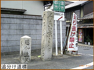 �Ǖ������W