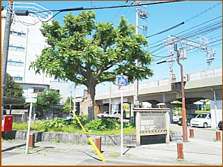 �`�n���ꗢ�ːՕt��