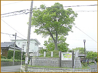 �a�c�ꗢ��