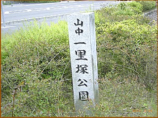 �R���ꗢ�ː�