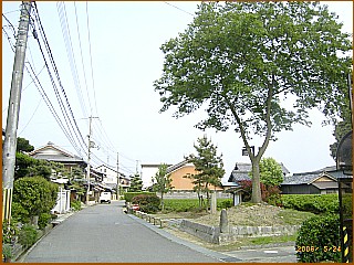 ���݉ƈꗢ��