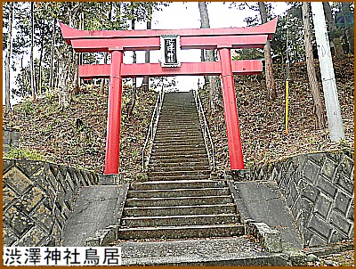 ��N�₩�Ȓ���