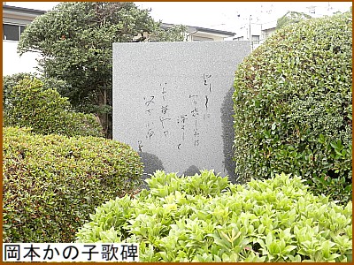 ���{���̎q�̔�