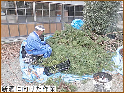 �V���Ɍ��������