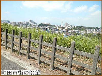 ���c�s�X�̒��]