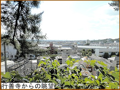 �s�P������̒��]