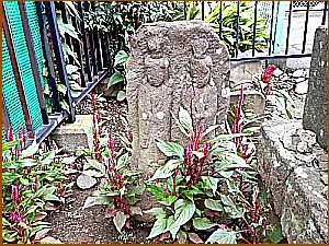 �v�w���c�_