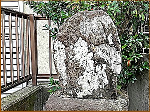 �v�w���c�_