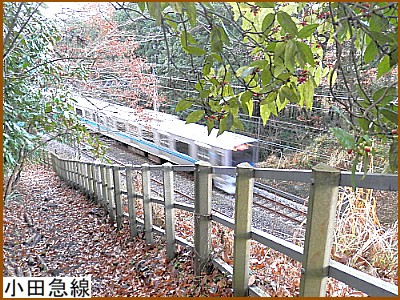 ���c�}��